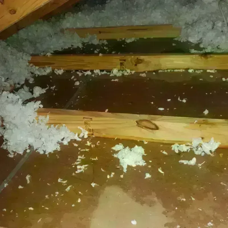 Attic Water Damage in Tunica, MS