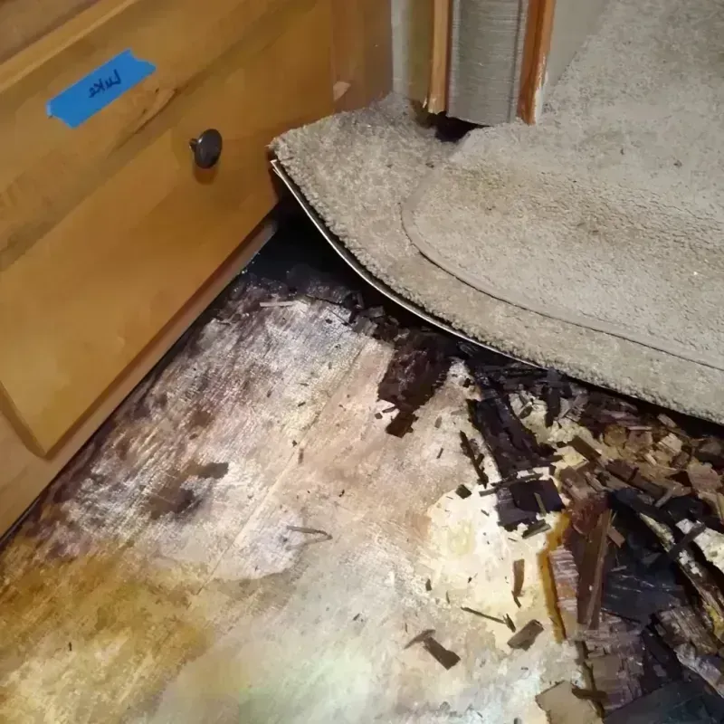 Wood Floor Water Damage in Tunica, MS